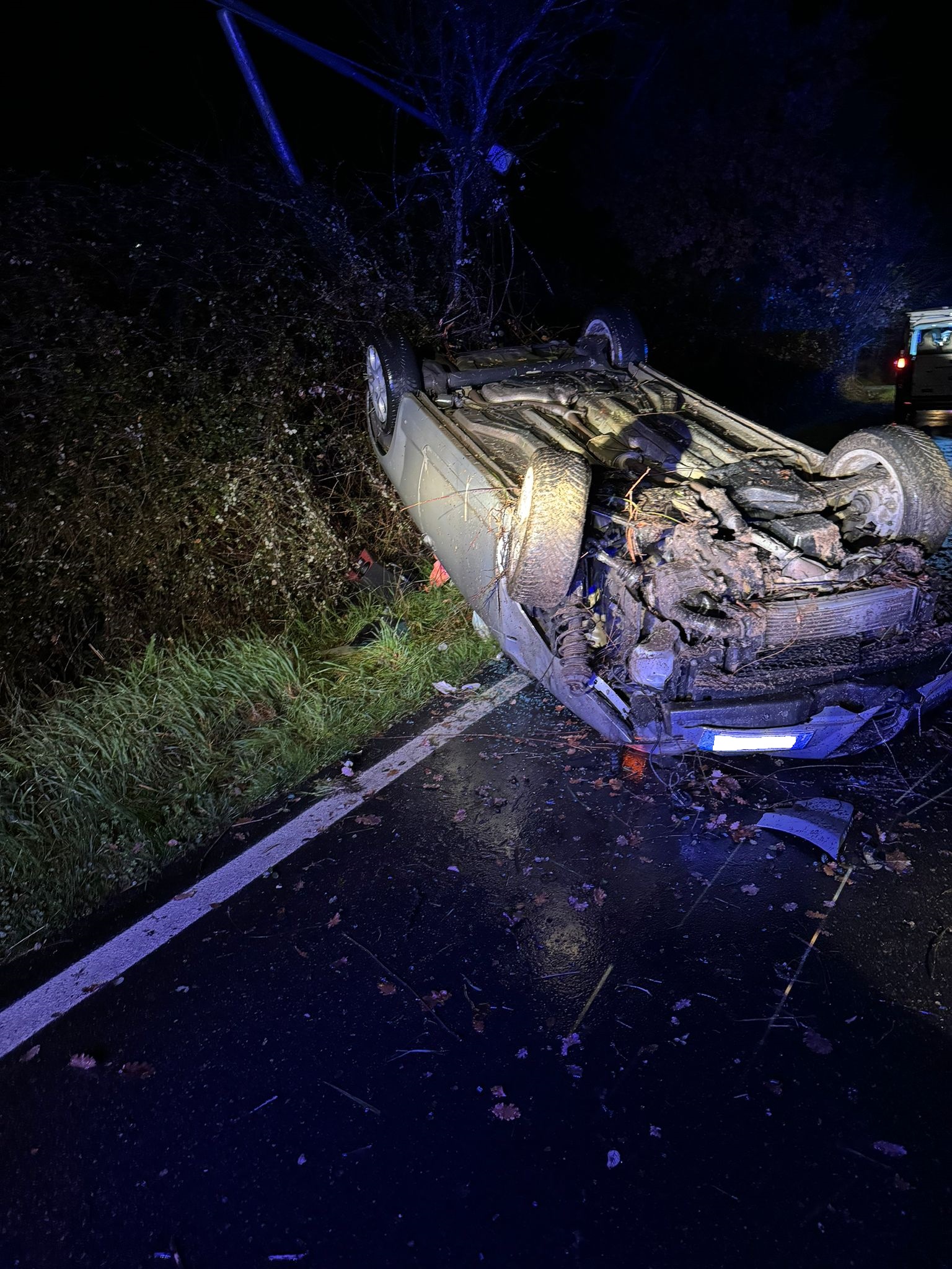 Auto impazzita gi due piante un palo della luce e poi cappotta