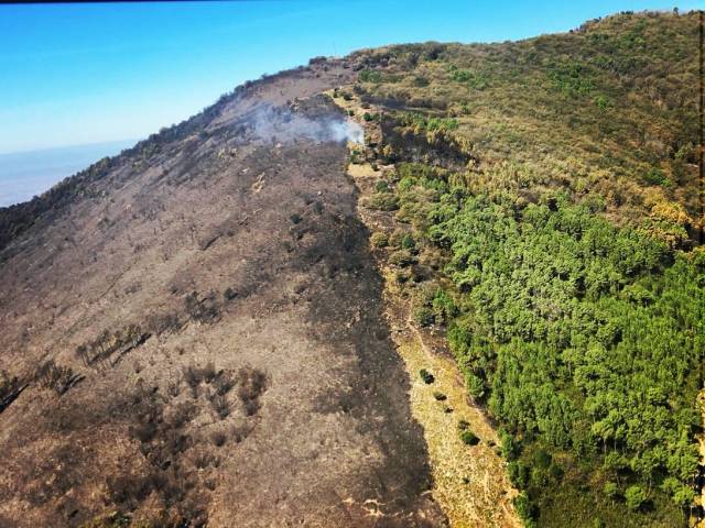 incendio monti pisani_27sett_07.jpg