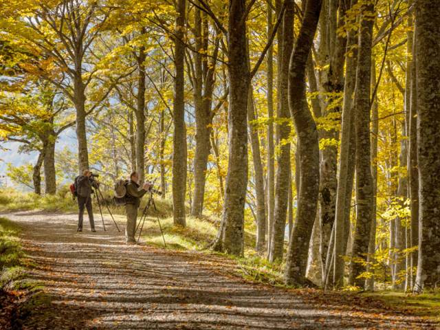 Fotografia nel parco.jpg