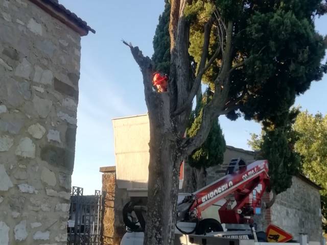 cimiteri cortona_4.JPG