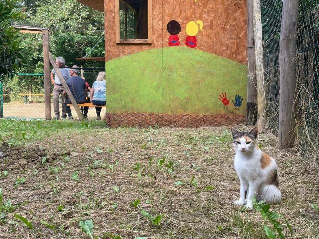 rifugio per gatti di Bibbiena.JPG