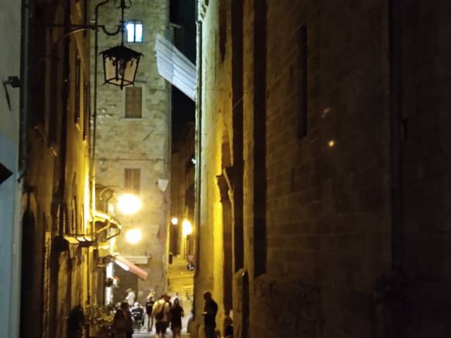 processione assunta_2024_arezzo (10).jpg