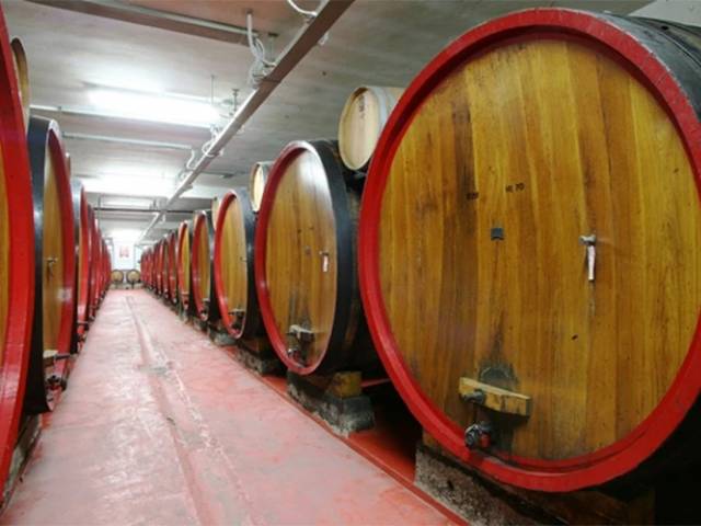 Cantina-Vini-Tipici-Aretino 11.jpg