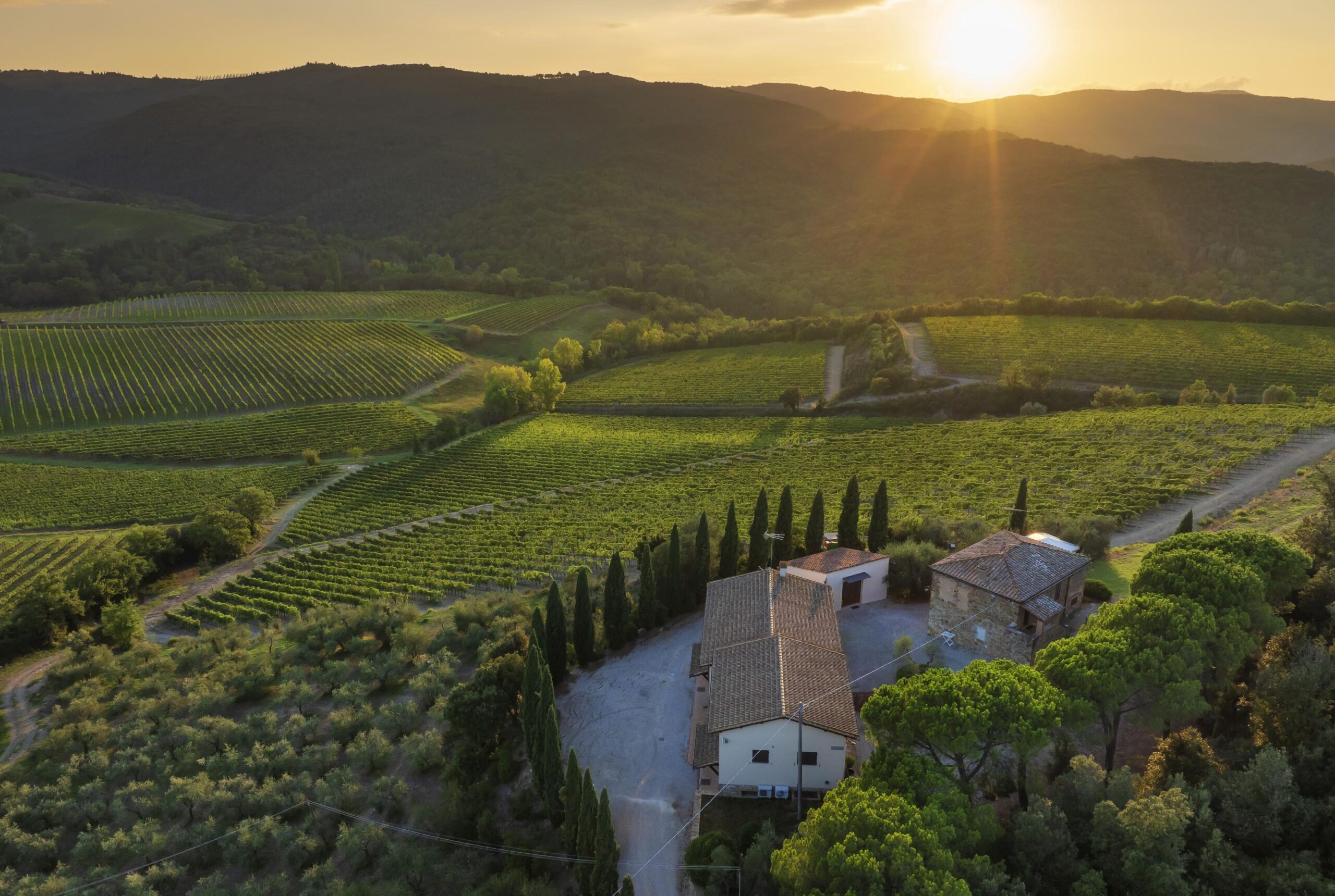 Pinino debutta a “Benvenuto Brunello” come nuova proprietà de Il Borro