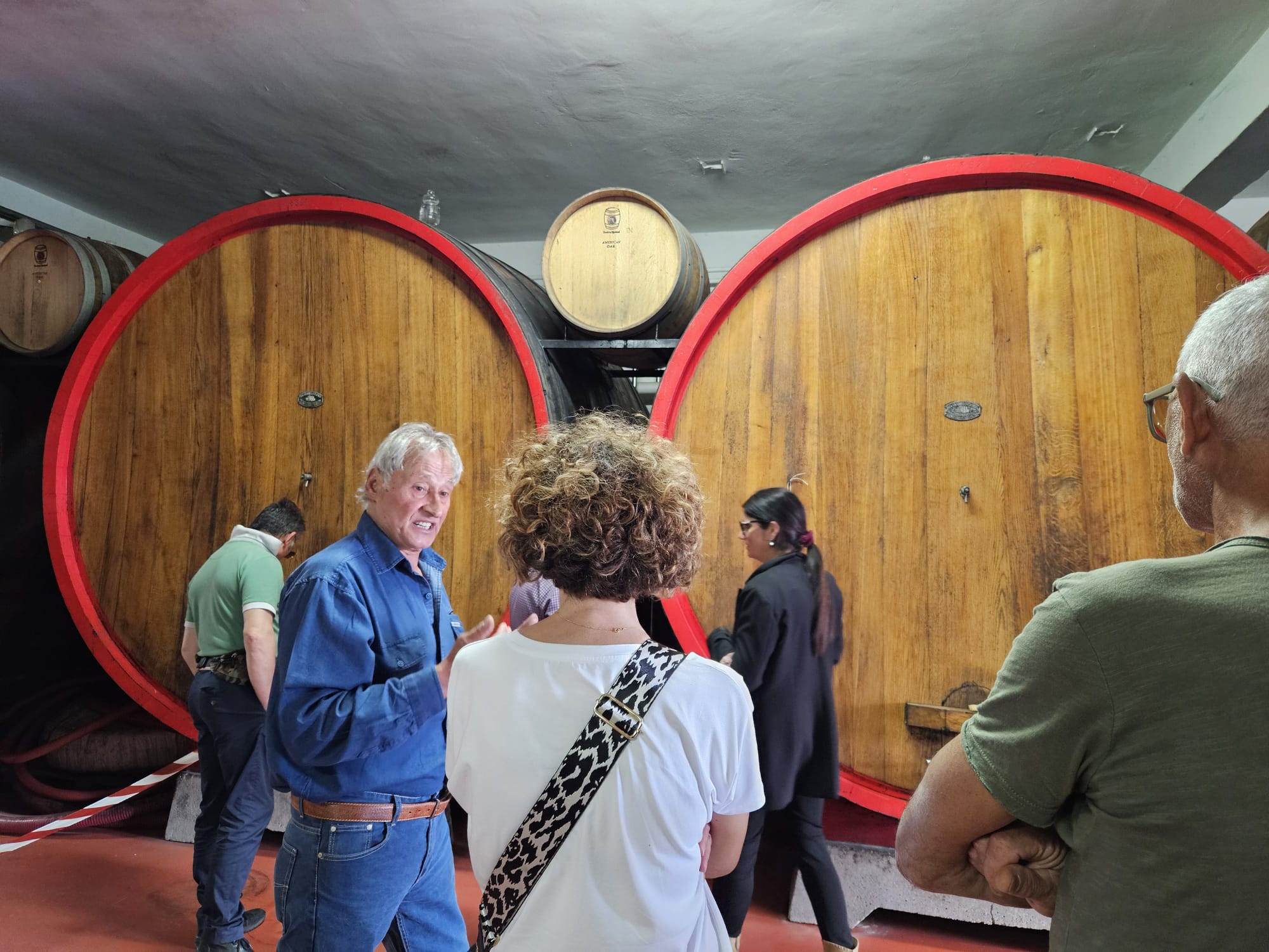 Cantina in festa, il trionfo dei vini tipici dell’aretino Ar24Tv