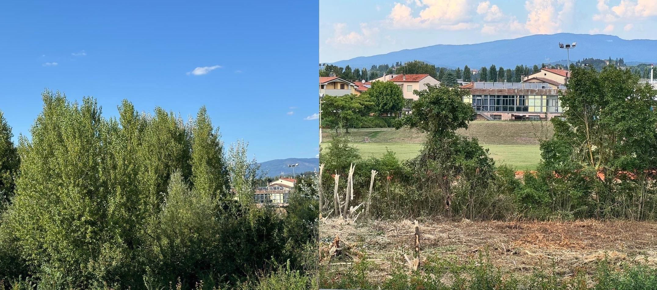 Castelsecco, un boschetto da salvare