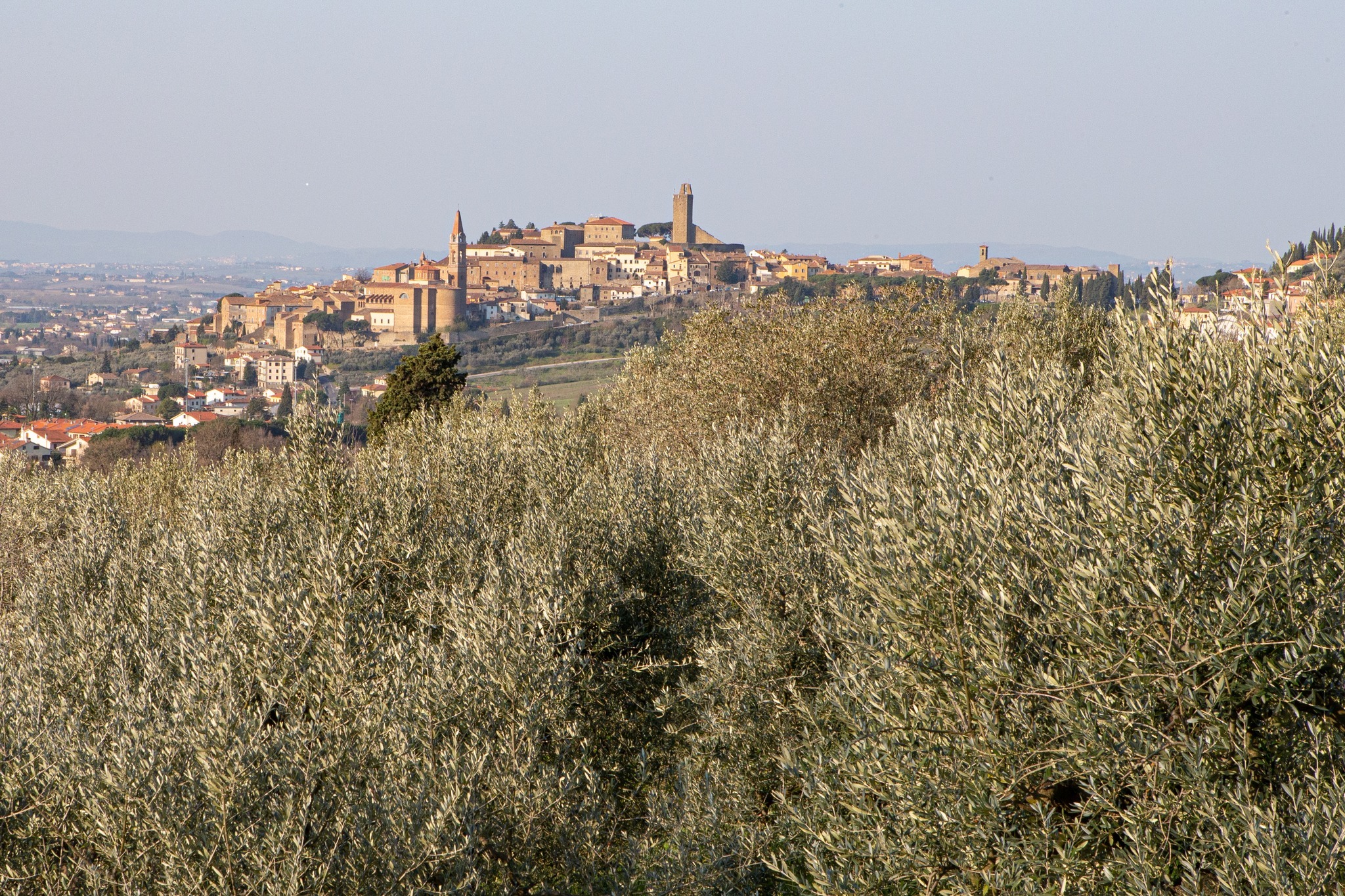 La grande festa dell’olio nuovo in Val di Chiana