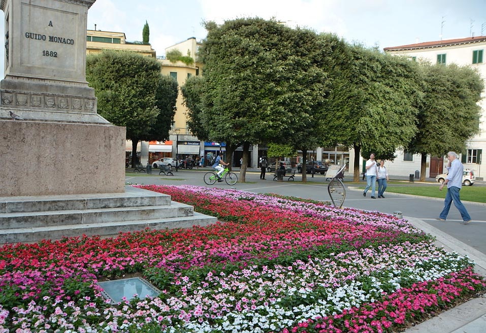 Lecci, tigli, fiori stagionali – La città è tutta un vivaio