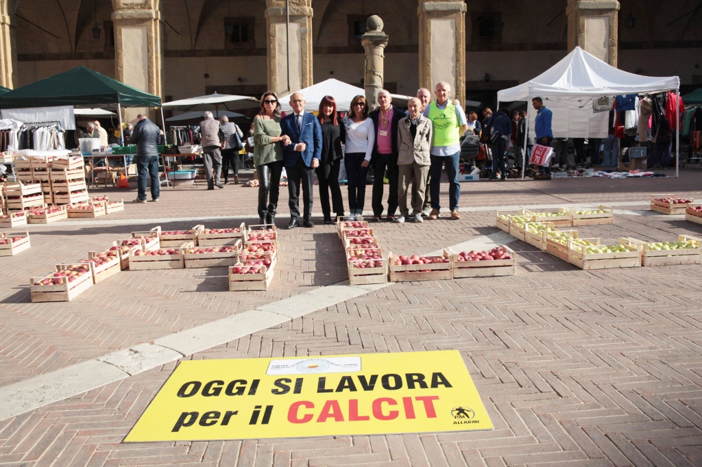 Il Mercatino del Calcit in Piazza Grande –  FOTO