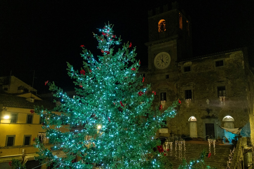 Nastri, palline e luccichii: le notti degli alberi di Natale #part1 – Foto