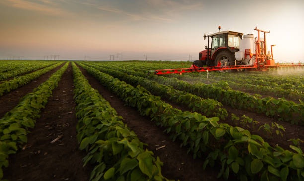 Covid-19, in Toscana garanzia gratuita agli agricoltori che chiedono liquidità