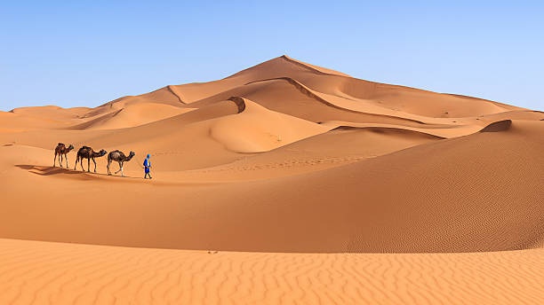 La lunga marcia nel deserto prossima ventura